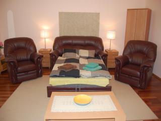 Gabriel Apartment - Budapest - 5