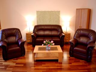 Gabriel Apartment - Budapest - 9