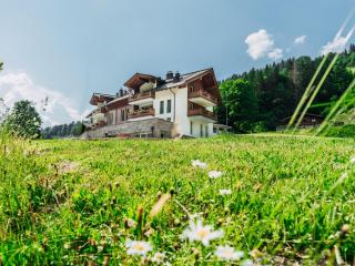 Residenz Steinbock Top 1A - Viehhofen - 9