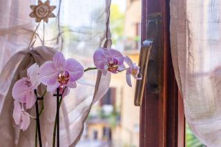 La casa di Elba - Rome - 6