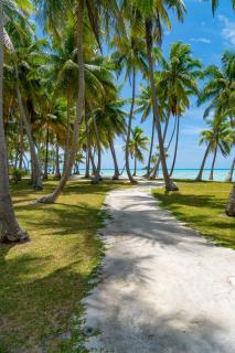 Motu Fara Private Island Rangiroa - Avatoru - 2