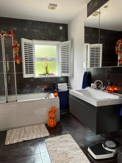 Forest Path luxury Studio Apartment with large bedroom bathroom and sauna Sleeps up to 4 - Ballynahinch - 2