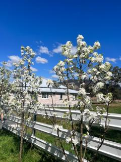 Pretty Pink Queenslander - Spectacular Views, Space and Serenity - 8