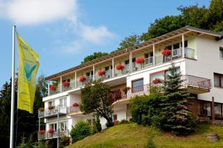 PlusNaturHotel direkt am Ederseeufer Waldhotel Wiesemann und Ferienapartments - Waldeck - 7