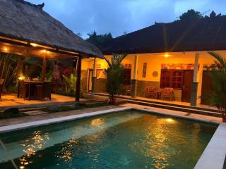 3 Bed Rooms Corner Ubud Private villa - Ubud - 1