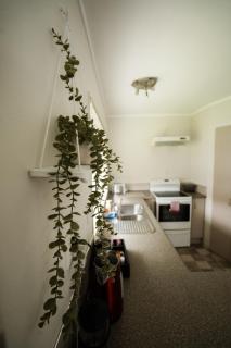 The Billy Ritz - Tauranga - 2