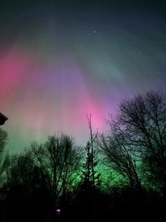 The Northern Lights Oasis - 0