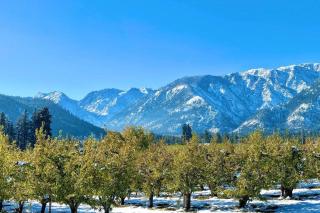 Mountain View Chalet Getaway 5 Min to Town - 9