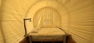 Covered Wagons Hill Camp - WAGON 4 - Lenoir - 4