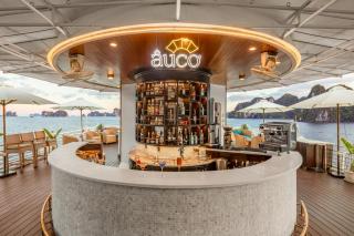 The Au Co Cruise - Managed by Bhaya Cruises - 9