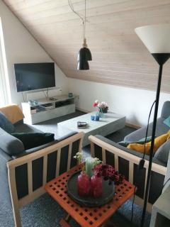 Summer House For Relaxation And Activity - 5