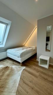 Modernes Apartment im Stadtwald - - 7