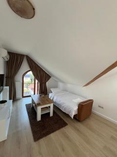 Apartment in the Villa Northern Dreams #3 PARKING INCLUDED IN PRICE - Timişoara - 8