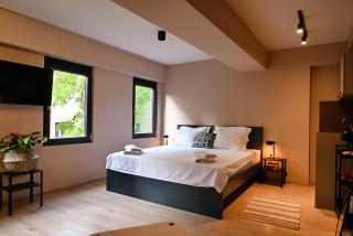 Central Studio Apartments by Parkside Boutique - Skopje - 8