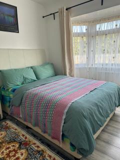 Standard Double Room near OVO Wembley Stadium - Londres - 0