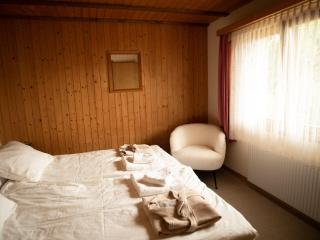 Chalet Montana mit Bergblick - 2