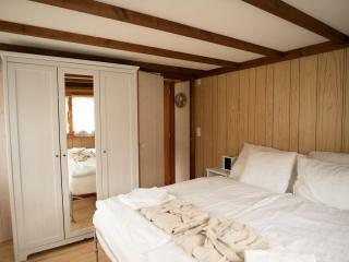 Chalet Montana mit Bergblick - Brunig - 1
