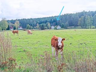 Klidná lokalita Na kraji lesa, celý dům s úschovnu kol - Nová Bystřice - 2