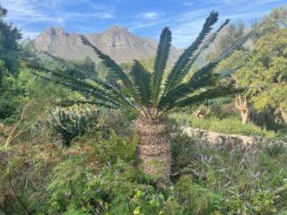 Loft first floor unit - views, spacious, bright - 6