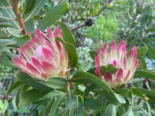 Loft first floor unit - views, spacious, bright - 3