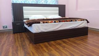dameer palace - Srinagar - 8