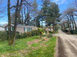 Camping Coeur de Vendée, la Boissière de Montaigu - 2