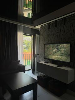 New apartments in borjomi - Borjomi - 7