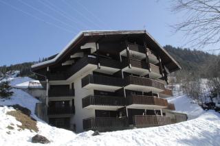 Anna Maria AN11 NATURE & COSY 4 Pers - Châtel - 3