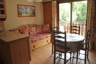 Anna Maria AN11 NATURE & COSY 4 Pers - Châtel - 7
