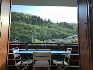 203- Residence des Neiges- 4 pers - Morillon - 9