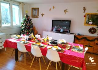 Grand appartement avec sauna - Strasburgo - 8
