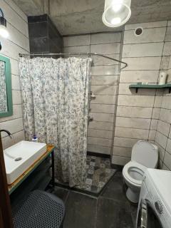 Mikheil Burdzgla - Tbilisi - 4