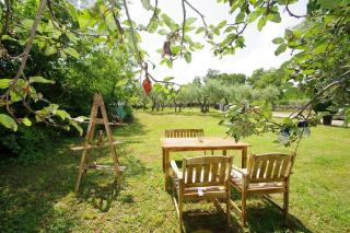 Ferienhaus mit schönem Garten - 8