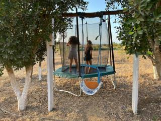 Countryside's Tiny House - Ben Slimane - 8