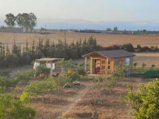 Countryside's Tiny House - Ben Slimane - 4