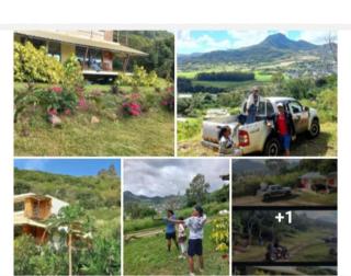 Nature Lover- Creve Coeur - 1