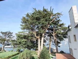 Adorable guest house - petit port de Ste Marine - Combrit - 9