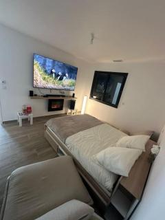 Villa piscine jacuzzi Montpellier - Juvignac - 1