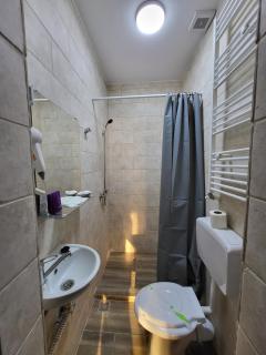 Casa Privata Airport Bucharest Therme Bucharest - Baloteşti - 8