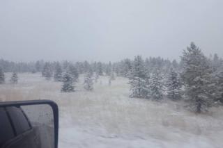 El Paraiso at Island Park - 3