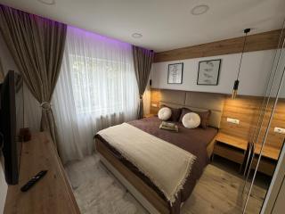 Deluxe Retreat & Business Apart - Iaşi - 0