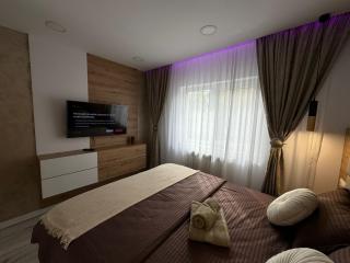 Deluxe Retreat & Business Apart - Iaşi - 1