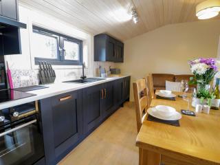 Enia Lodge 2 - Ruthin - 1