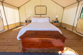 Boutique Glamping Stay by Lake Livingston - 6
