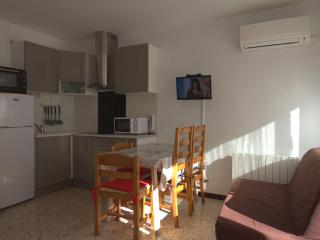 Appartement T1 avec balcon, climatisation et parking près du Parc Charles de Gaulle à Balaruc-les-Bains - FR-1-553-101 - 0