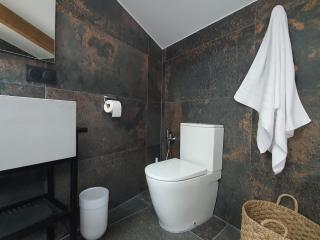 Elegant 2 Bed Apart with Garage near Les Halles - 5