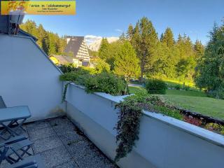 Apartment Ausseerland - Bad Mitterndorf - 1