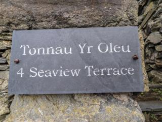 Tonnau Yr Oleu or Waves of Light - 8