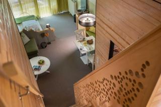 Hotel Lindenwirt - Drachselsried - 4