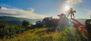 Hillcrest Holiday Home -Kandy - Haragama - 8